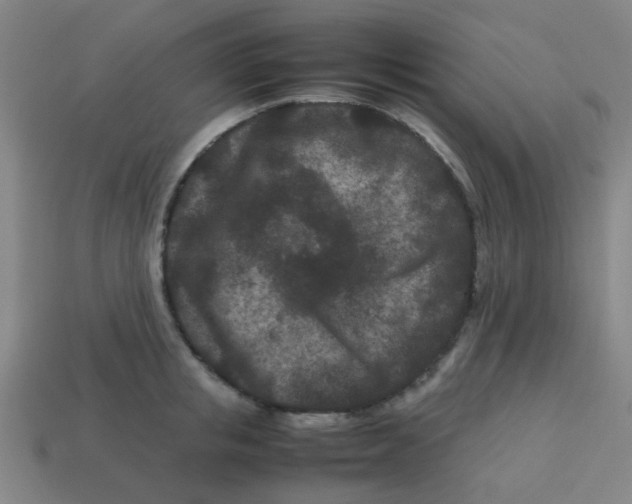 X0000113240853200910081256
