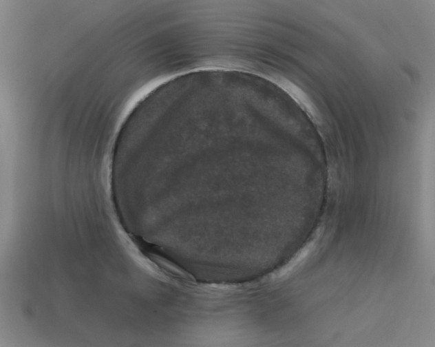 X0000113240854200910081256