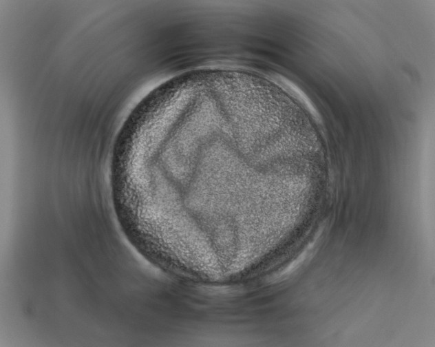X0000113240855200910081256