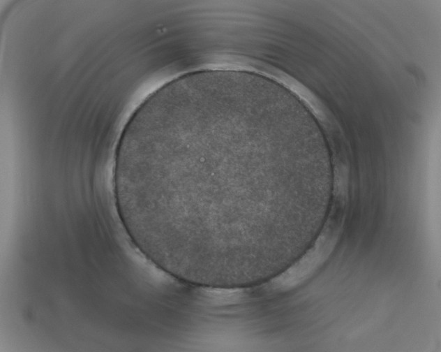X0000113240856200910081256