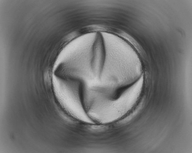 X0000113240857200910081256