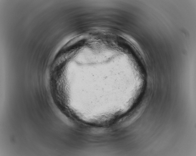 X0000113240859200910081256