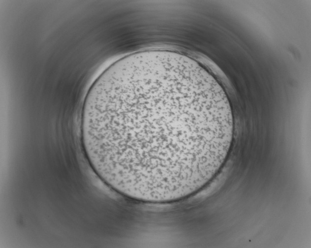 X0000113240860200910081256