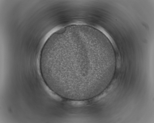 X0000113240861200910081256