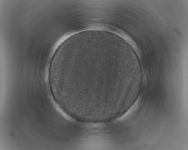 X0000113240862200910081256