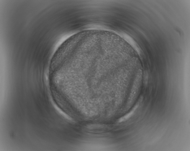X0000113240863200910081256