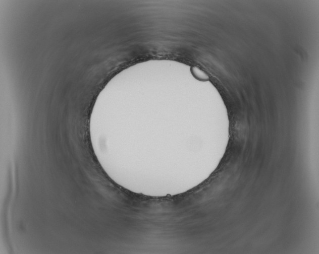 X0000113240865200910081256