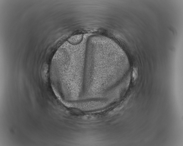 X0000113240867200910081256