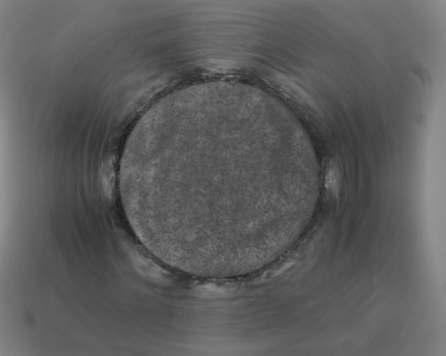 X0000113240868200910081256