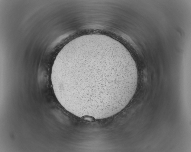 X0000113240872200910081256