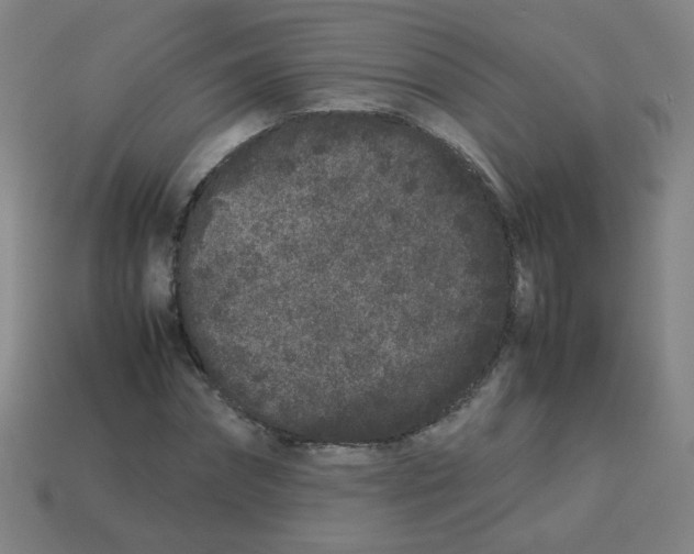 X0000113240874200910081256