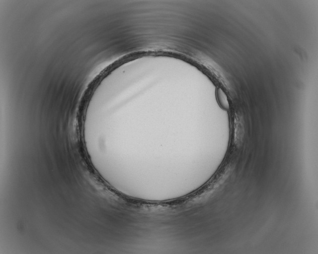 X0000113240876200910081255