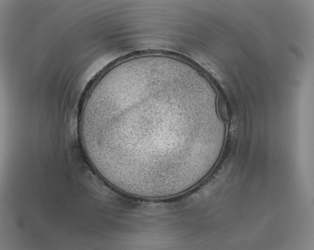X0000113240877200910081255