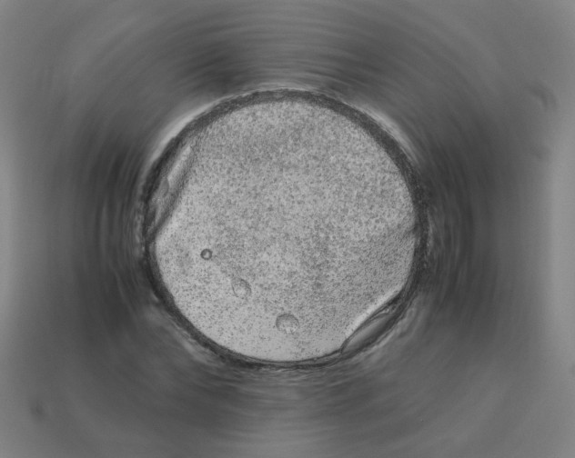 X0000113240878200910081255