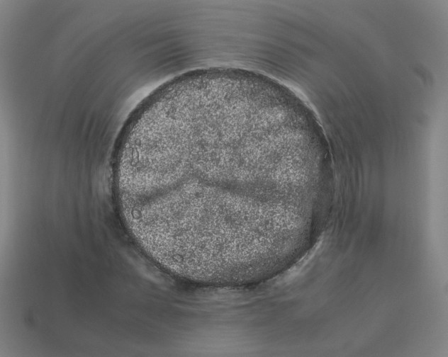 X0000113240879200910081255