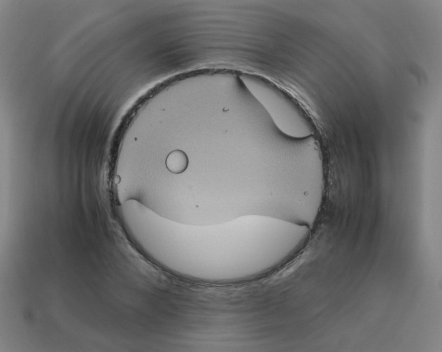 X0000113240880200910081255