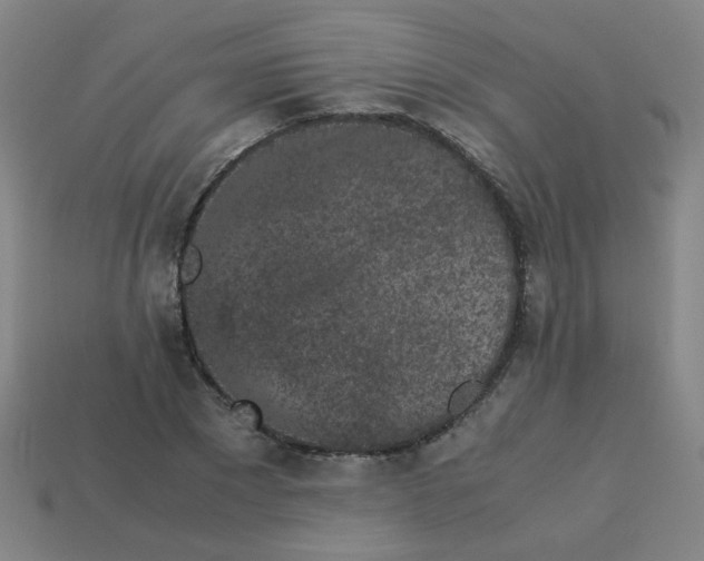 X0000113240881200910081255
