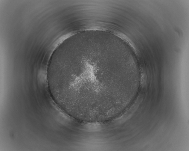 X0000113240882200910081255