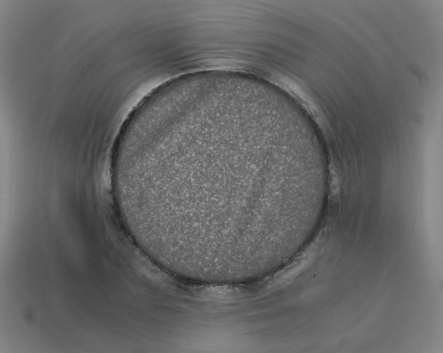 X0000113240883200910081255