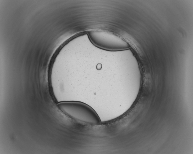 X0000113240884200910081255