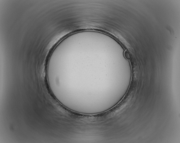 X0000113240885200910081255
