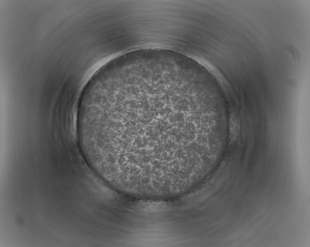 X0000113240886200910081255