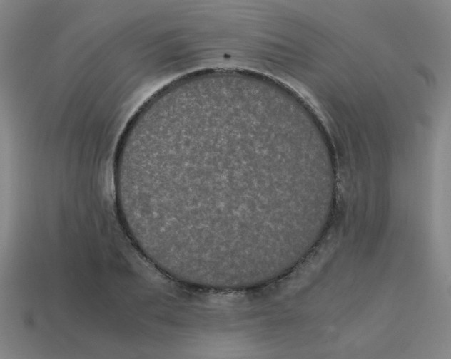 X0000113240887200910081255
