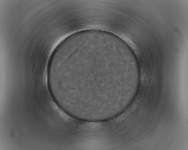 X0000113240888200910081255