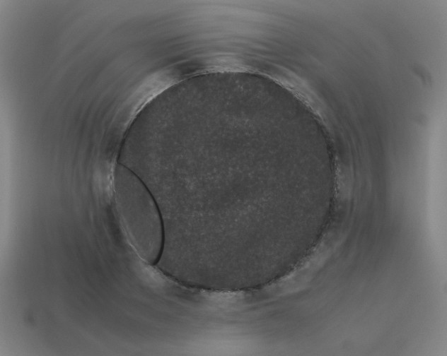 X0000113240889200910081255