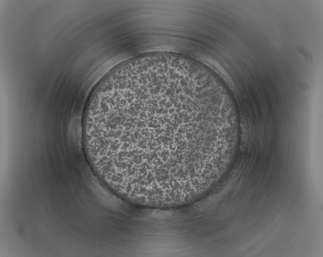 X0000113240890200910081255