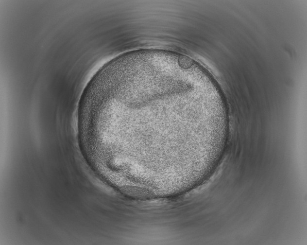 X0000113240891200910081255