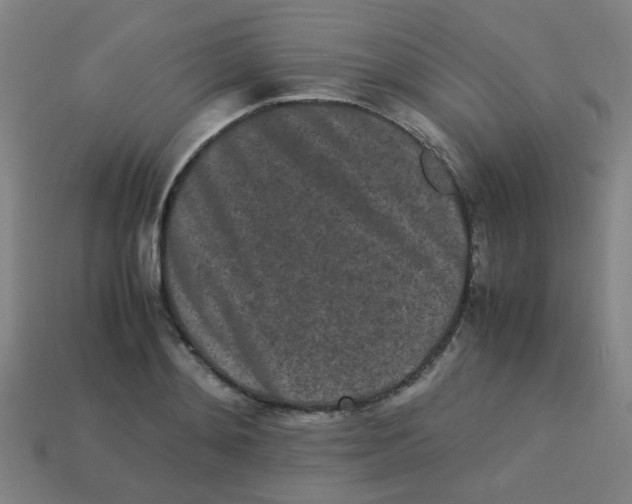 X0000113240892200910081255