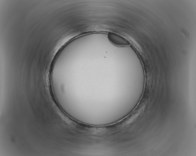 X0000113240893200910081255
