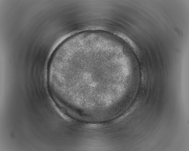 X0000113240894200910081255