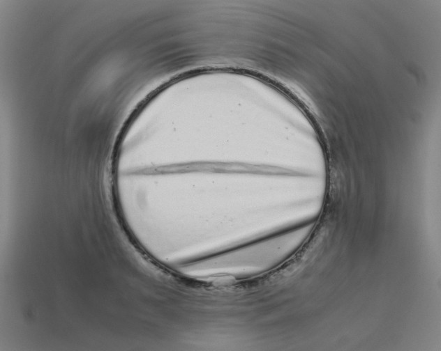 X0000113240895200910081255