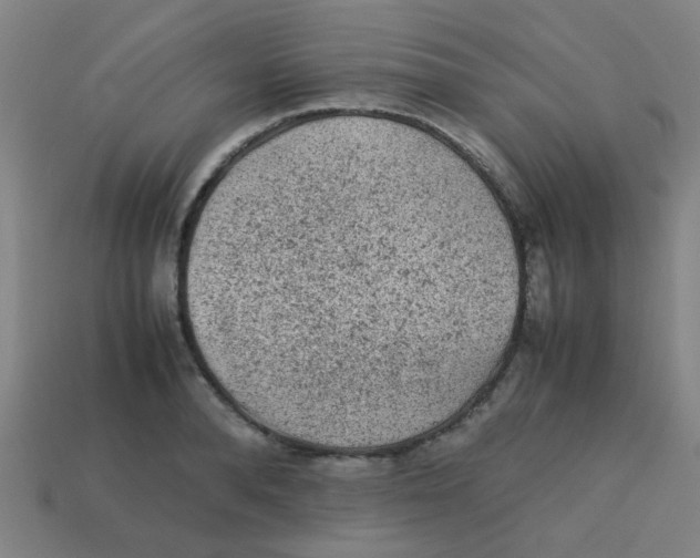 X0000113240896200910081255