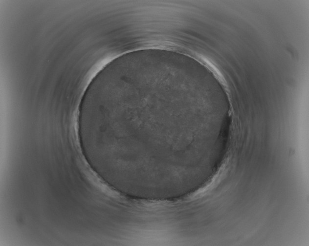 X0000113240899200910081255