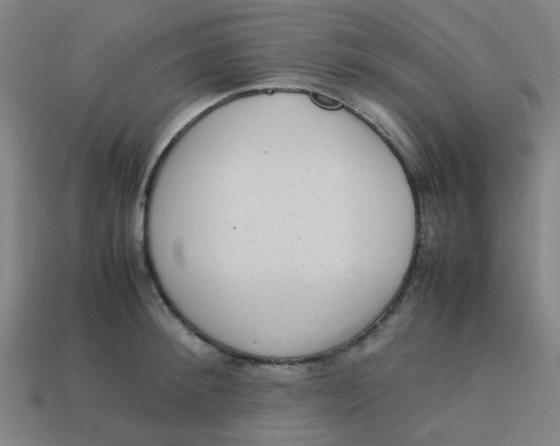 X0000113240900200910081255