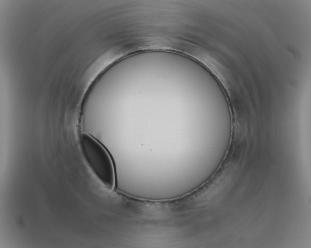 X0000113240901200910081255