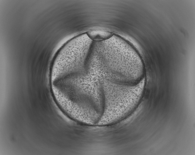 X0000113240902200910081255