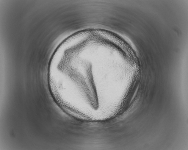 X0000113240903200910081255