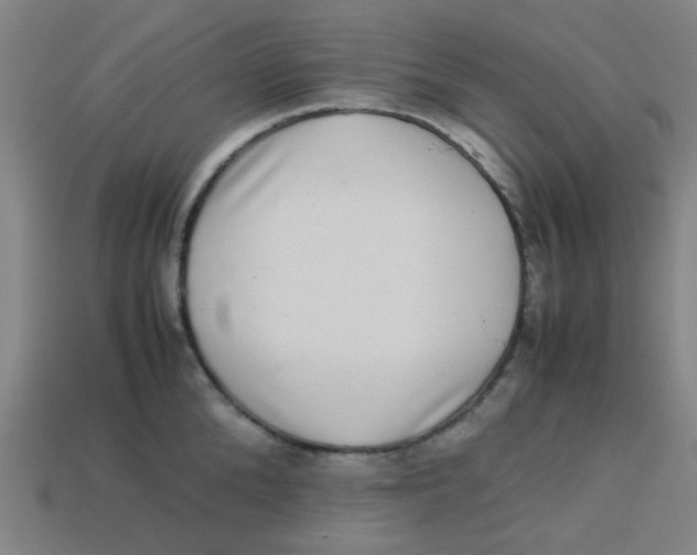 X0000113240904200910081255