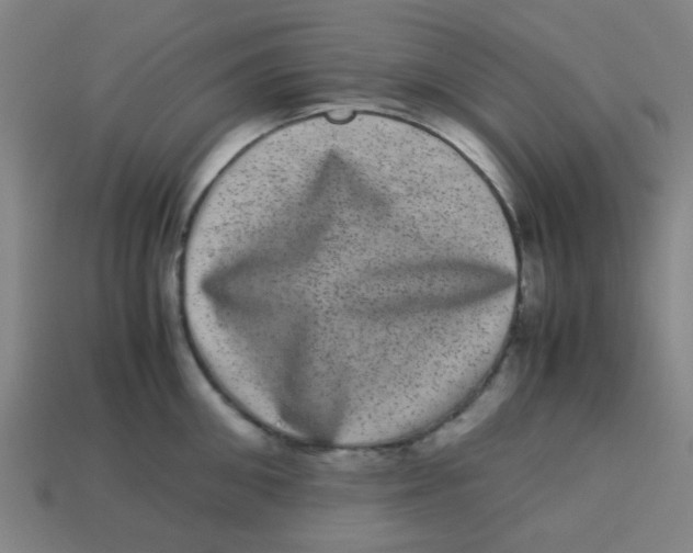 X0000113240906200910081255