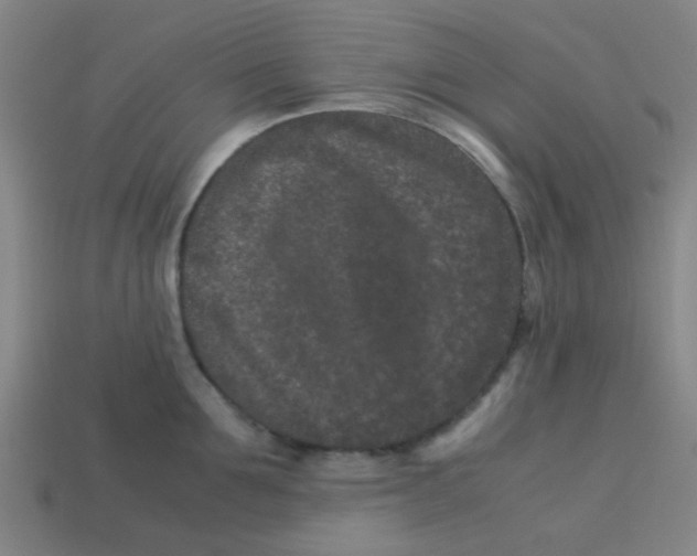 X0000113240907200910081255
