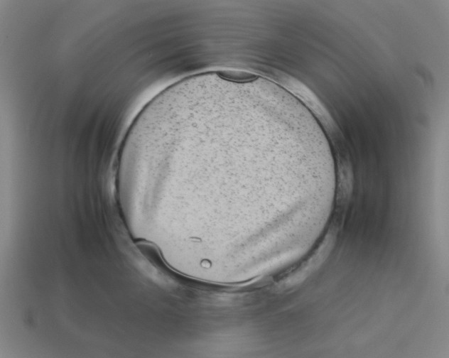 X0000113240908200910081255