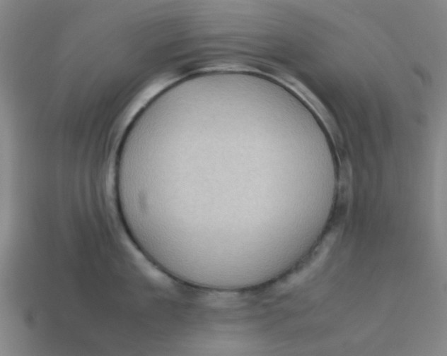 X0000113240909200910081255