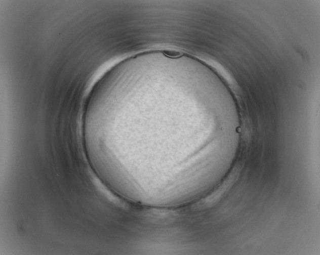 X0000113240910200910081255
