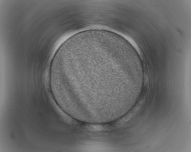X0000113240911200910081255
