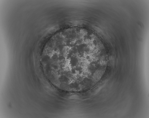 X0000113240913200910081254