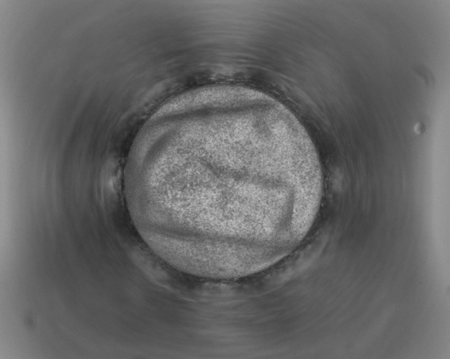 X0000113240914200910081254